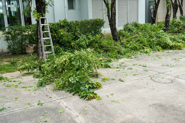 Best Pest Control for Lawns  in Garden City South, NY