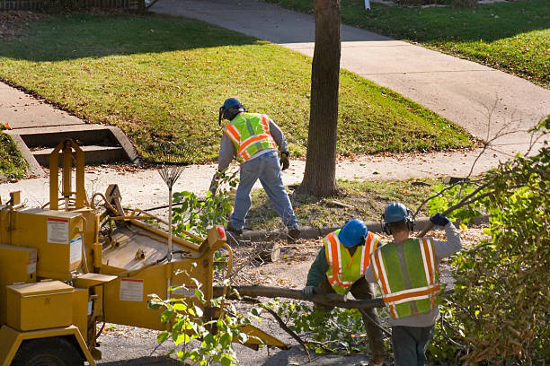 Best Lawn Pest Prevention  in Garden City South, NY